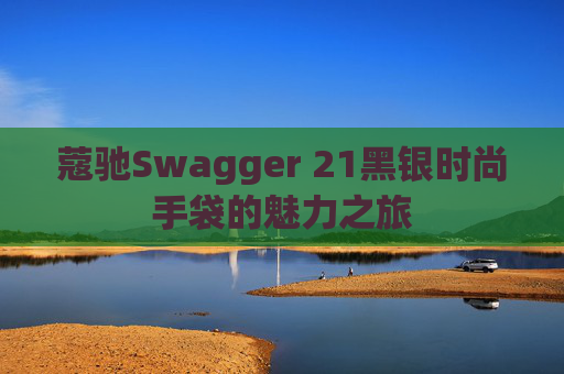 蔻驰Swagger 21黑银时尚手袋的魅力之旅